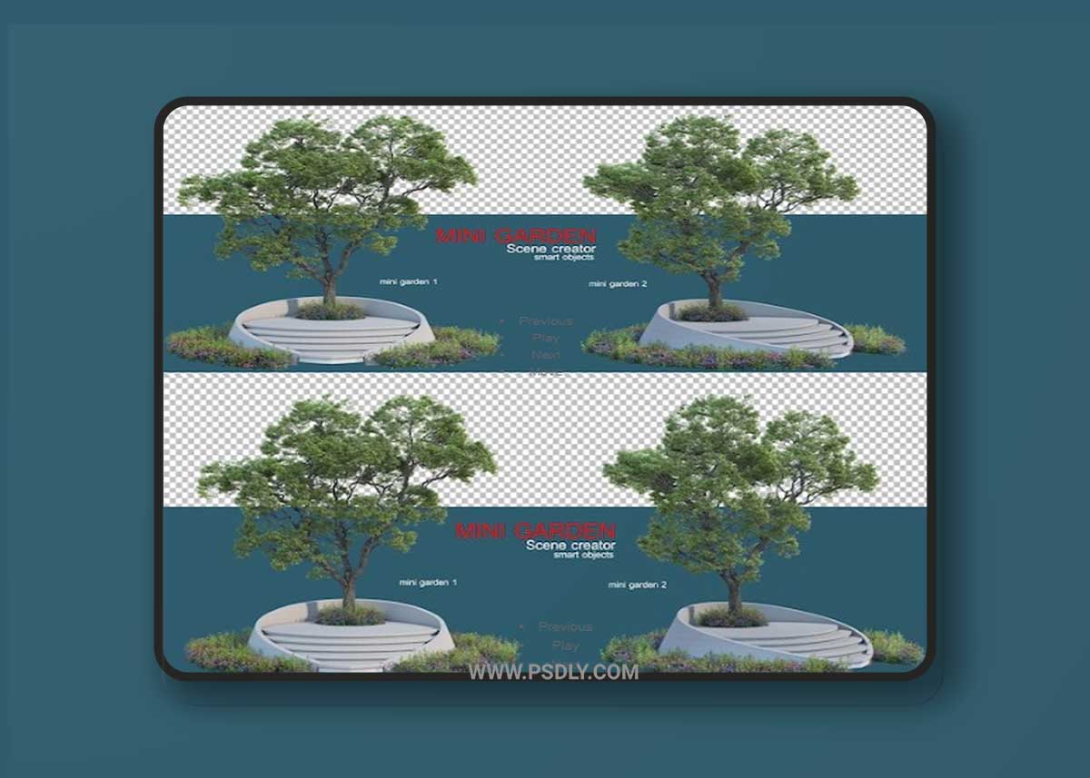 Small garden with decorative trees and shrubs