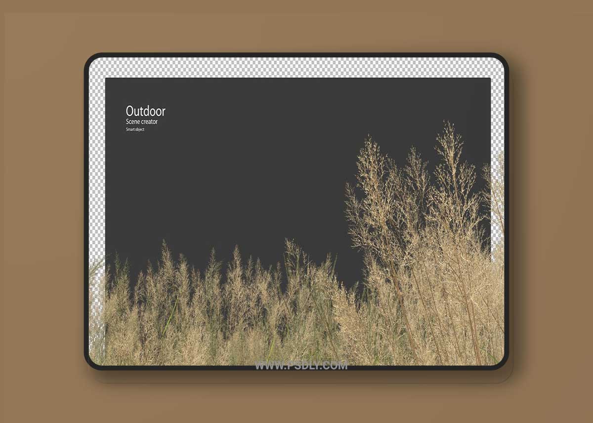 Tall grass meadow in 3d rendering Premium Psd