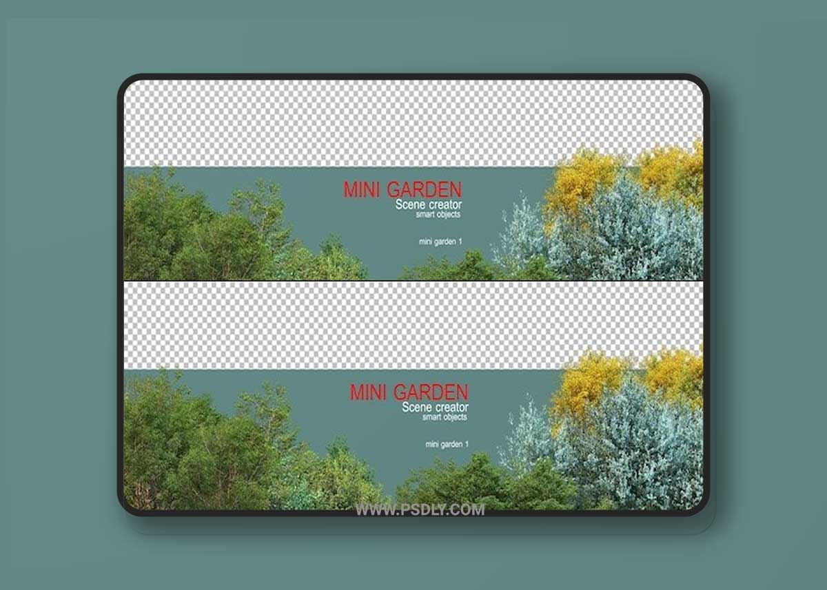 The small garden has many types of plants and trees