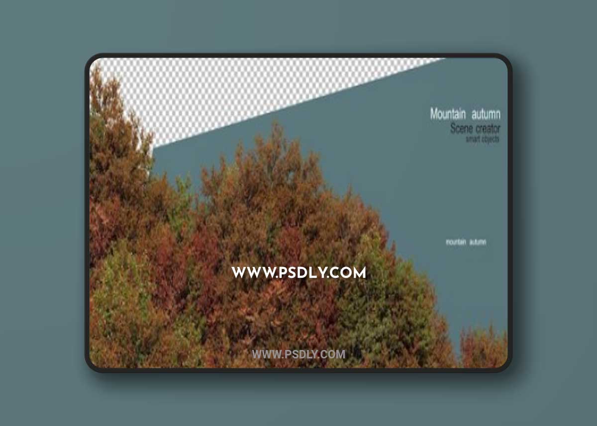 Trees and plants on the mountain in autumn 3D Model