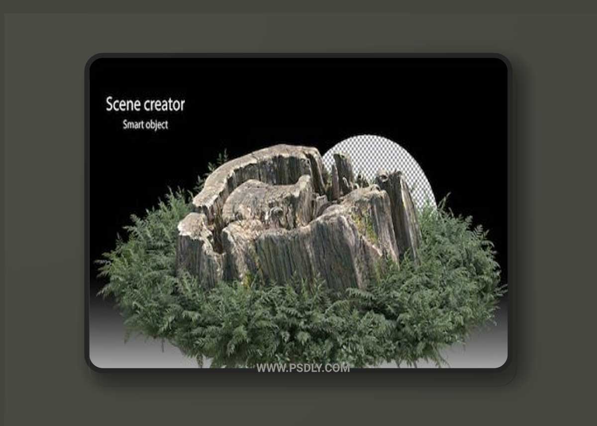 Variety of stump surrounded by small plants 04 Premium Psd