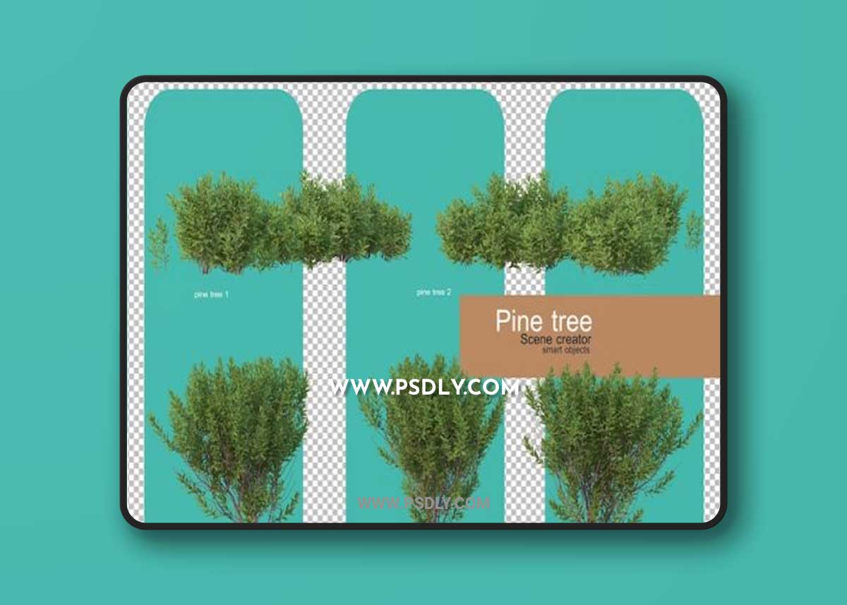 Various forms of pine trees 3D Model