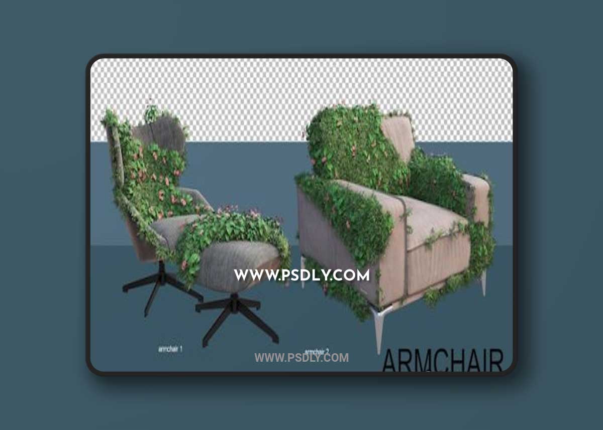 3d rendering of leisure chairs and plants
