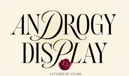 Androgy Display