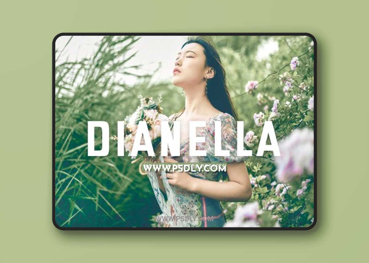 CreativeMarket - Dianella Pro Lightroom Presets 7178682