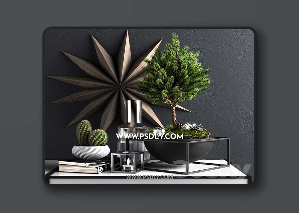Decor set with pine tree 3D Model
