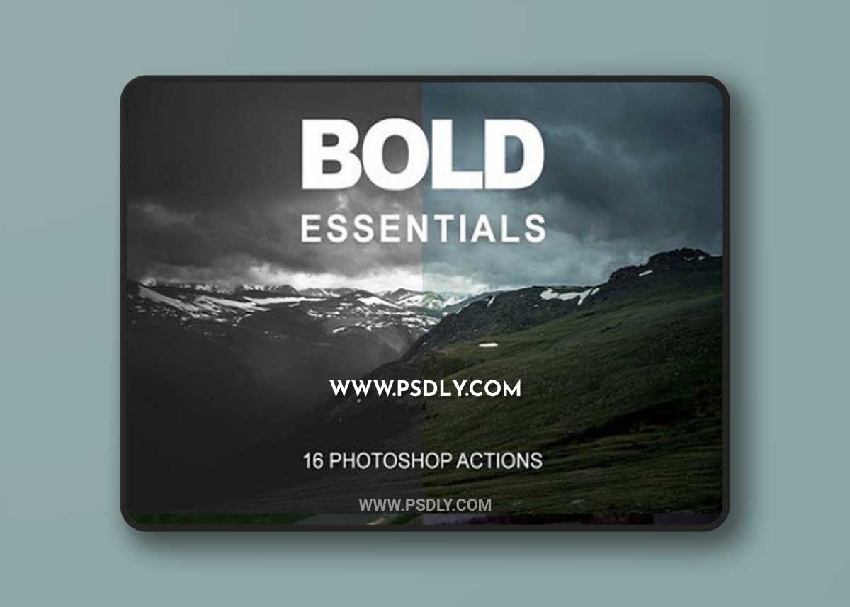 Bold Essentials
