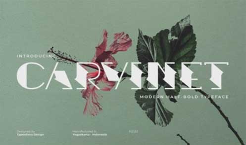CM - Carvinet Font 7303144
