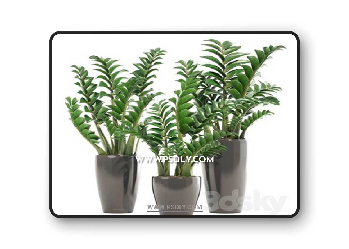Collection of plants 192 3D Model