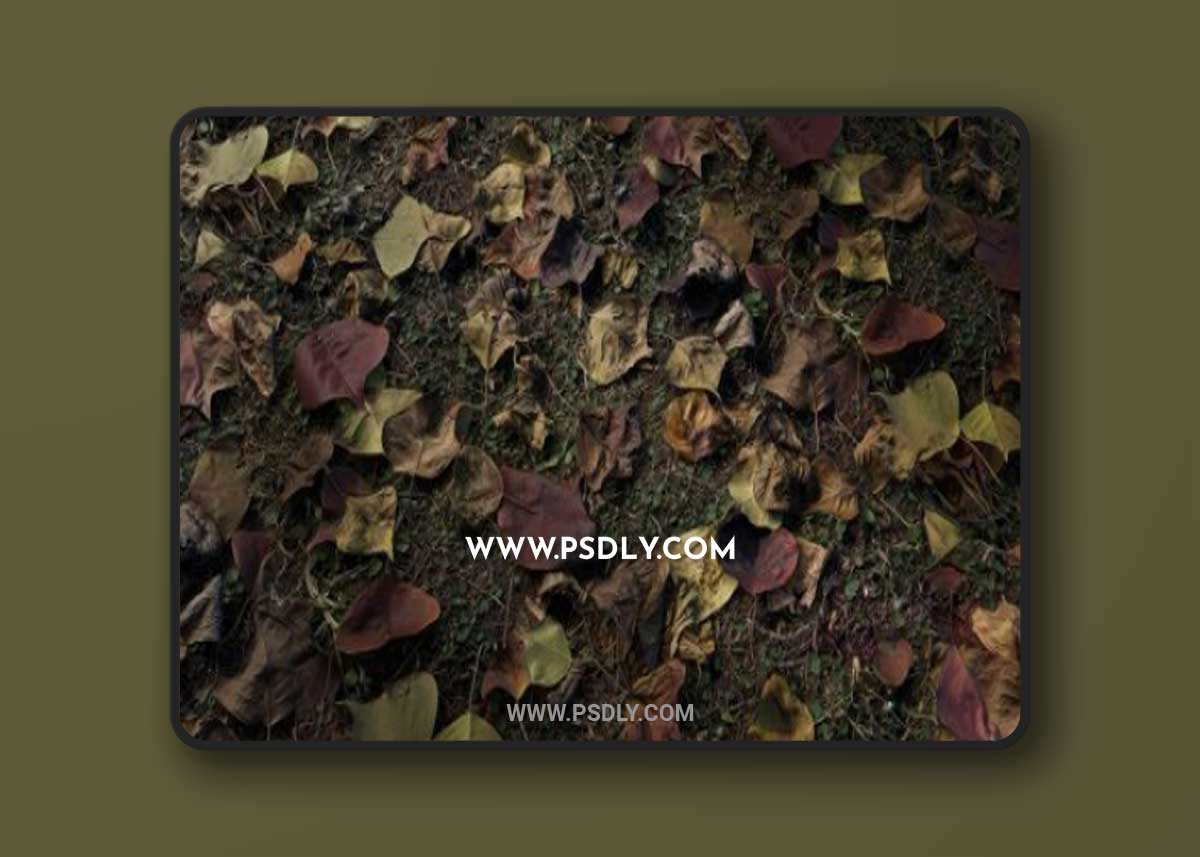 Debris Nature 04 PBR Material 3D Model