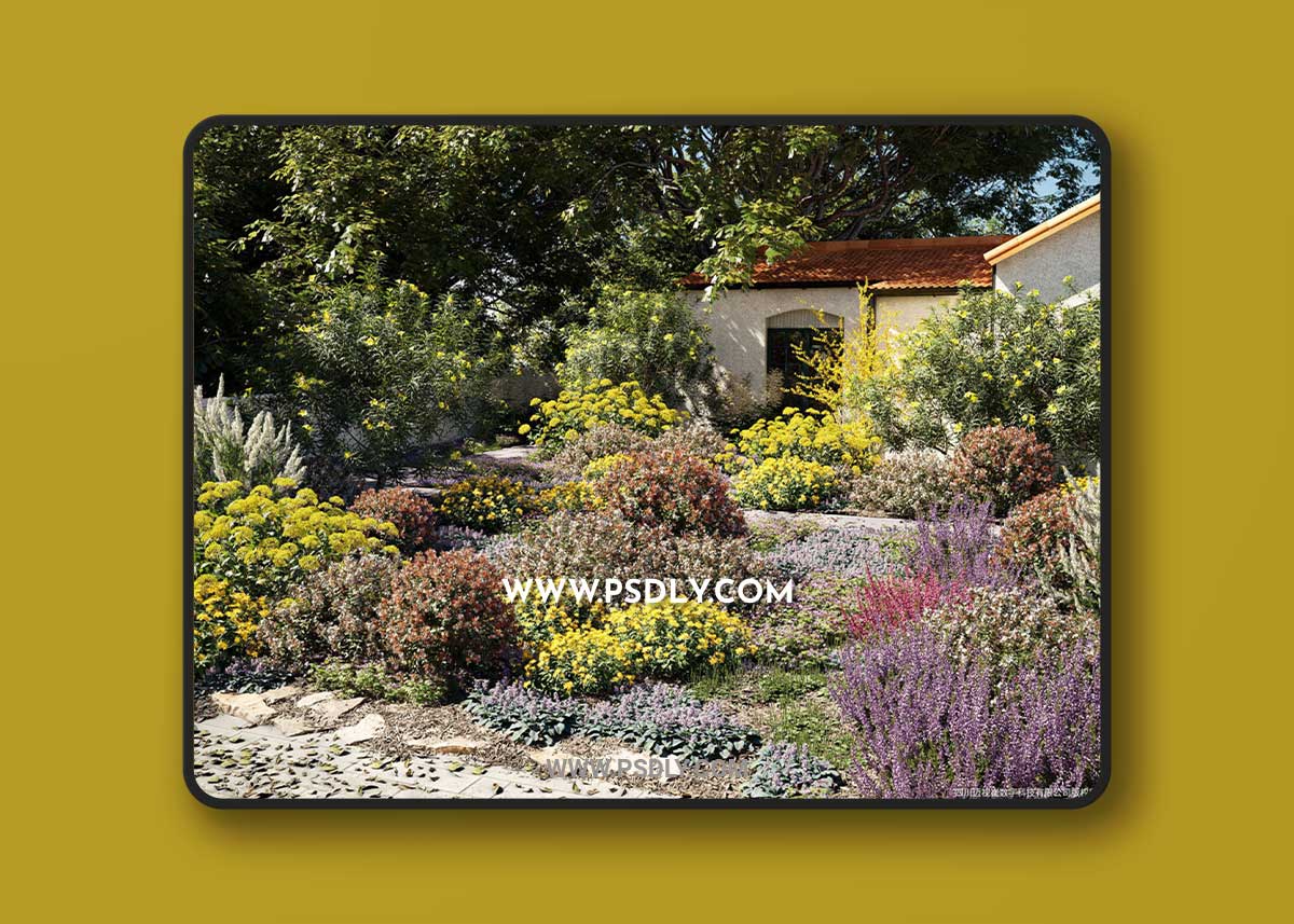 Maxtree - Plant Models Vol 51 3D Model