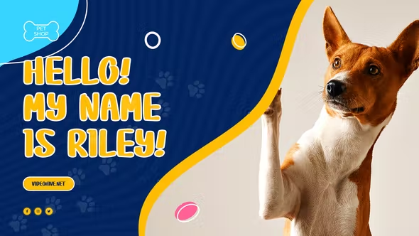 Videohive Pet Shop Promo 38134741