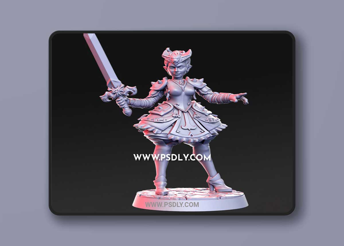 Destiny - Female Warrior 3D Print 3D Model