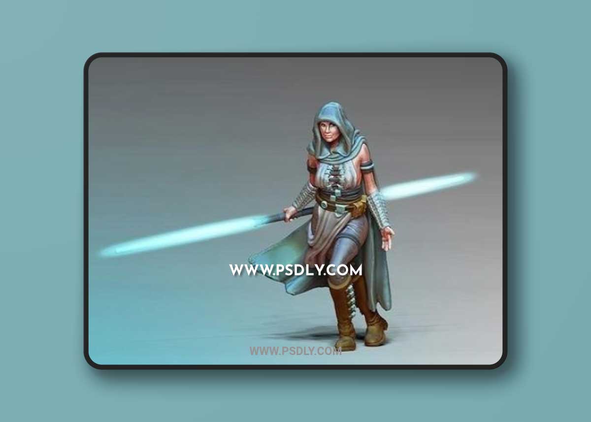 Light Side - Battle Master and Guardian 3D