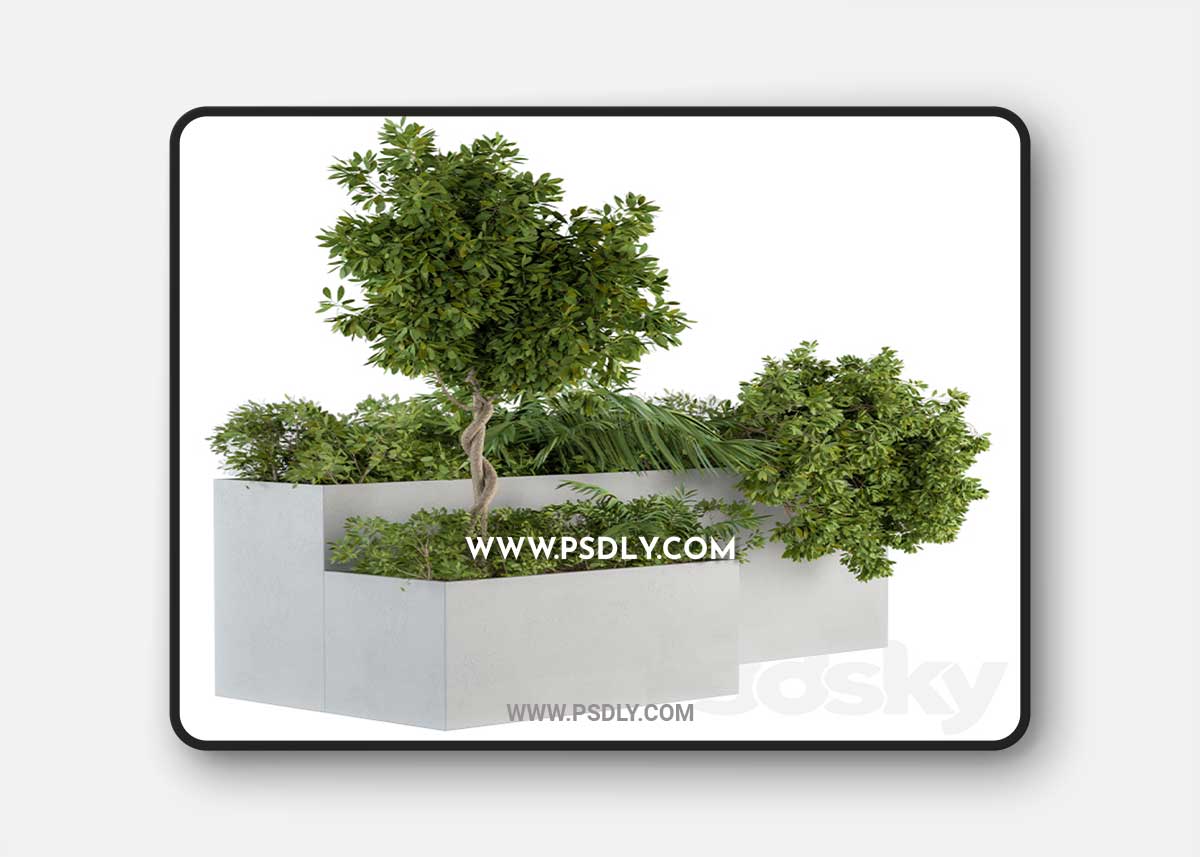 Outdoor Plants Concrete Box – Set 45 3D Model