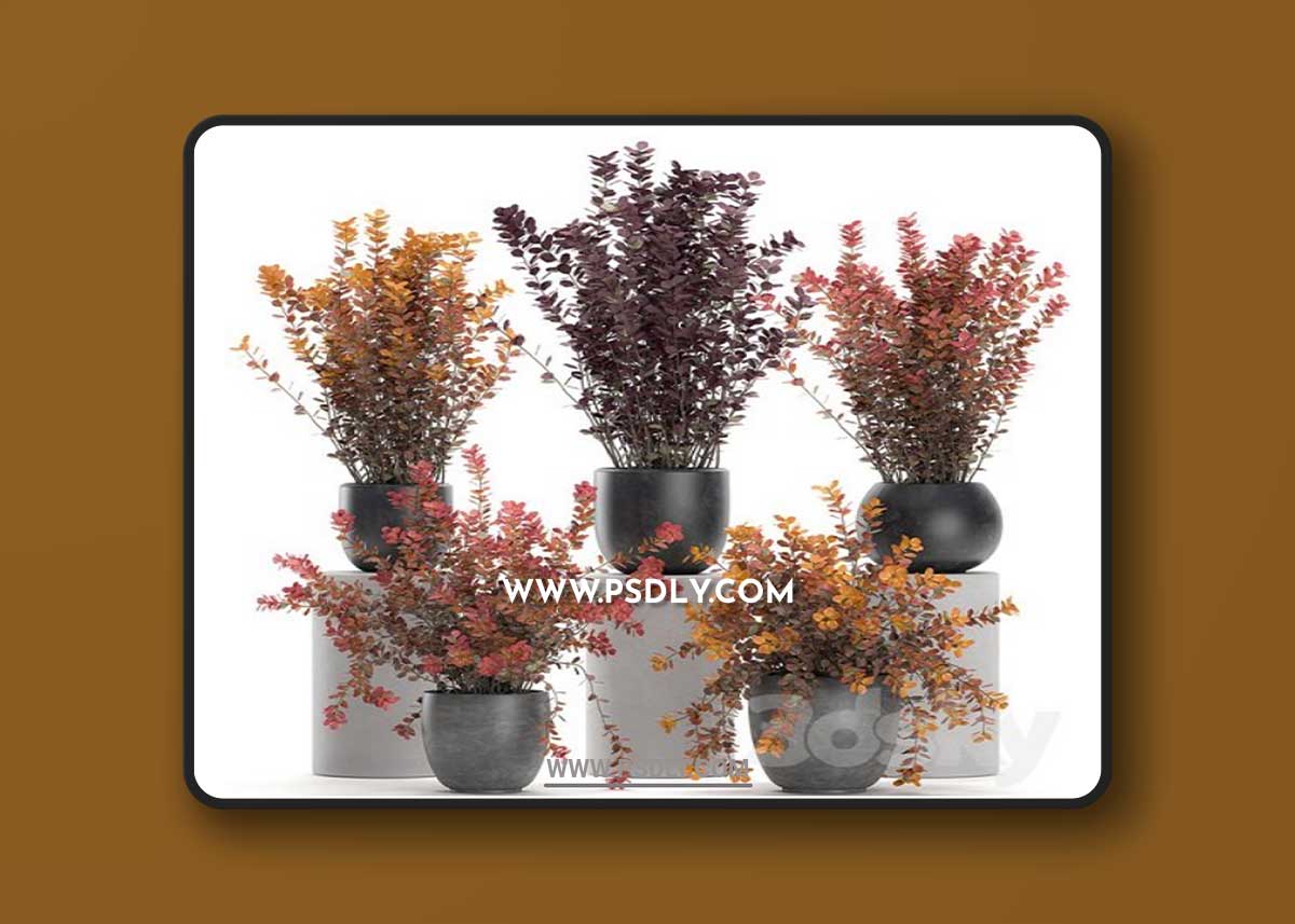 Plant collection 698 3D Model