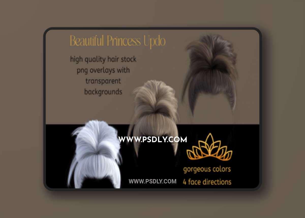 Princess Updo Hair