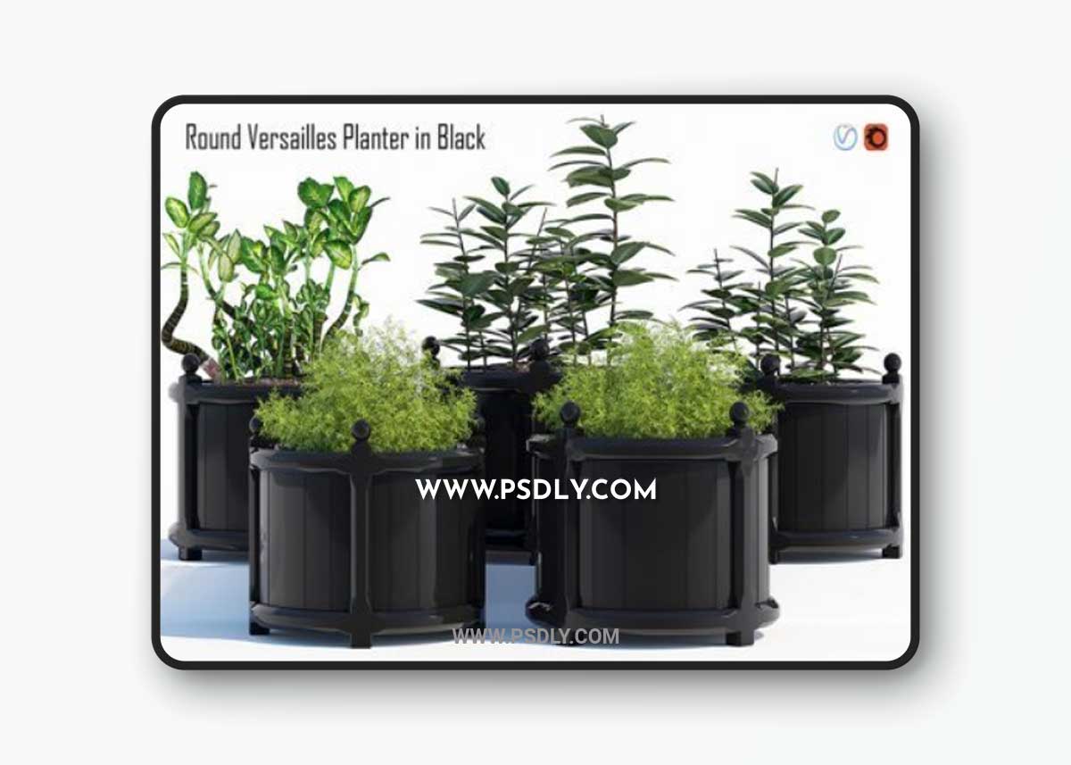 Round versailles planter 2 3D Model