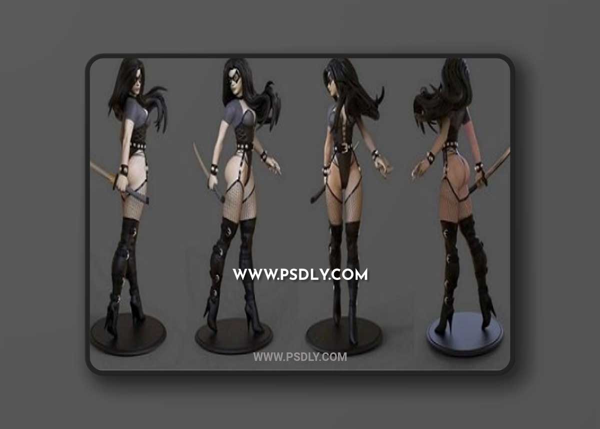 Shadow Yamato 3d model