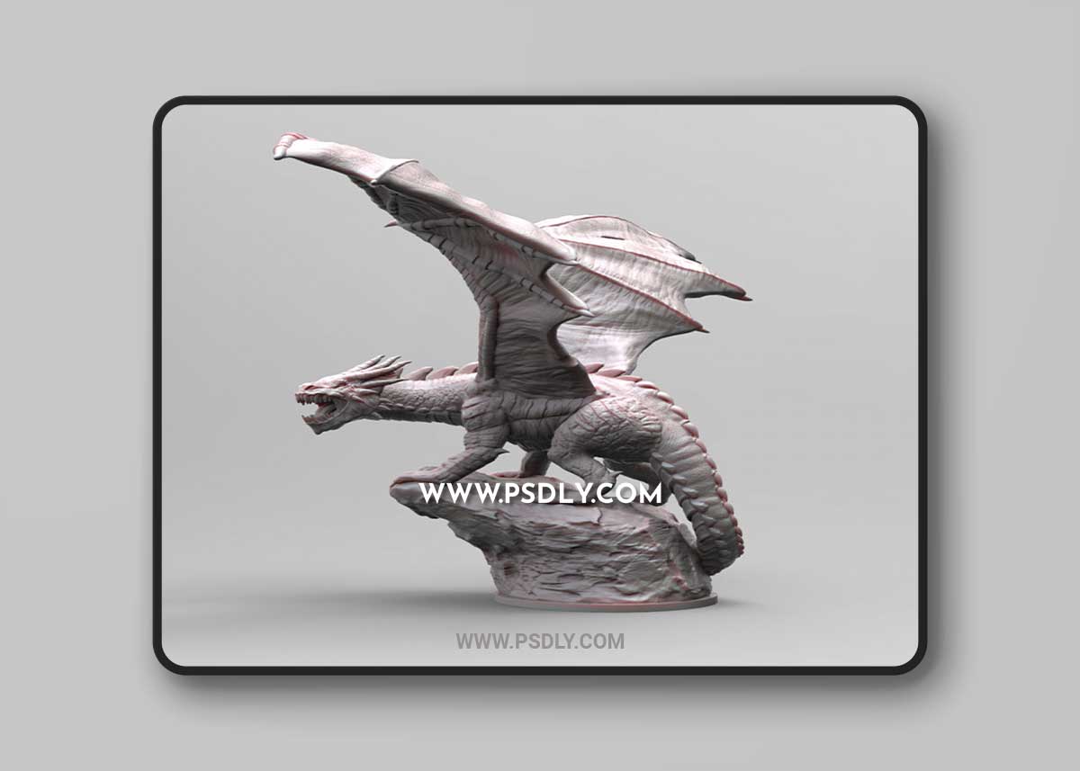 Dragon In The Shadow 3D Print