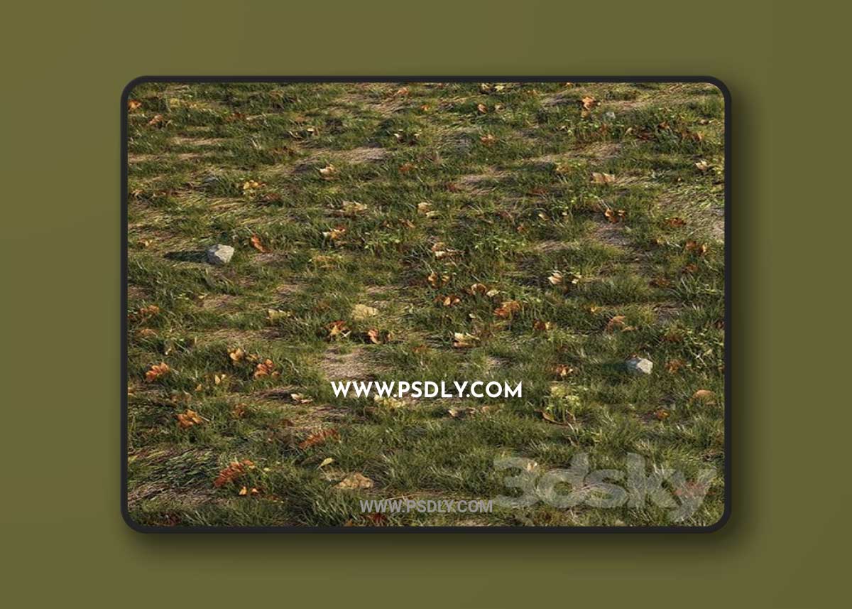 House grass or lawns 3D Model