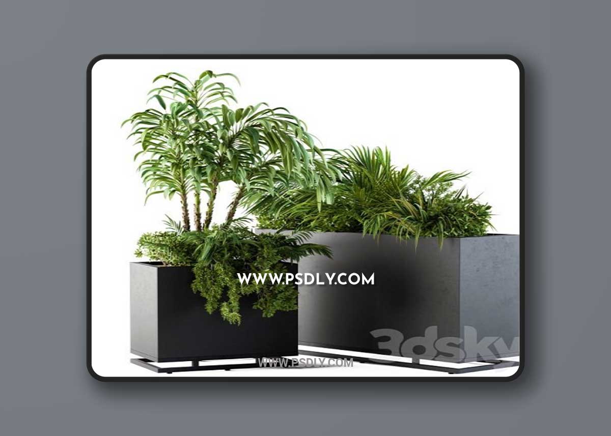 Plant box metal compact04 3D Model