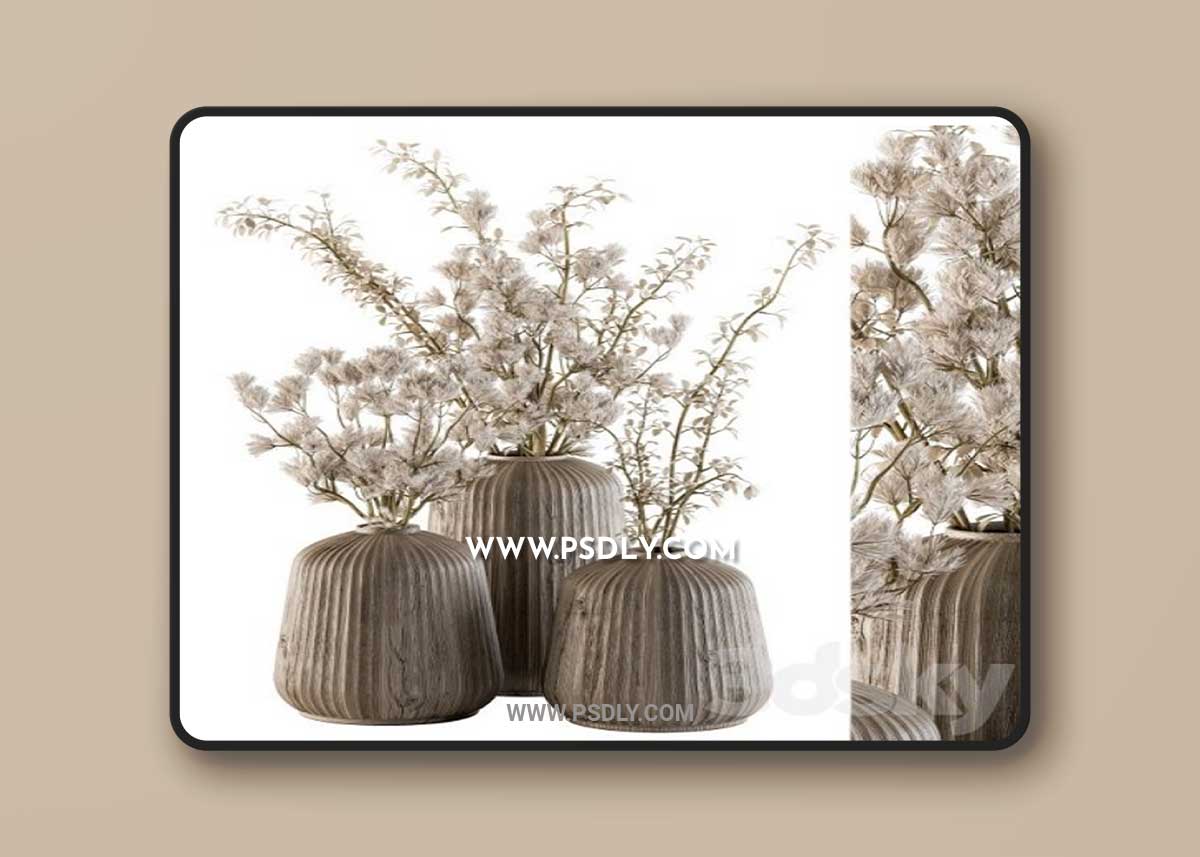 Bouquet Set 16 - Dried Plants 3D Model