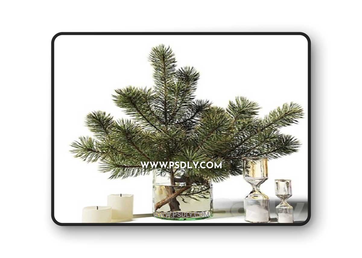 Bouquet of pine branches in a glass vase