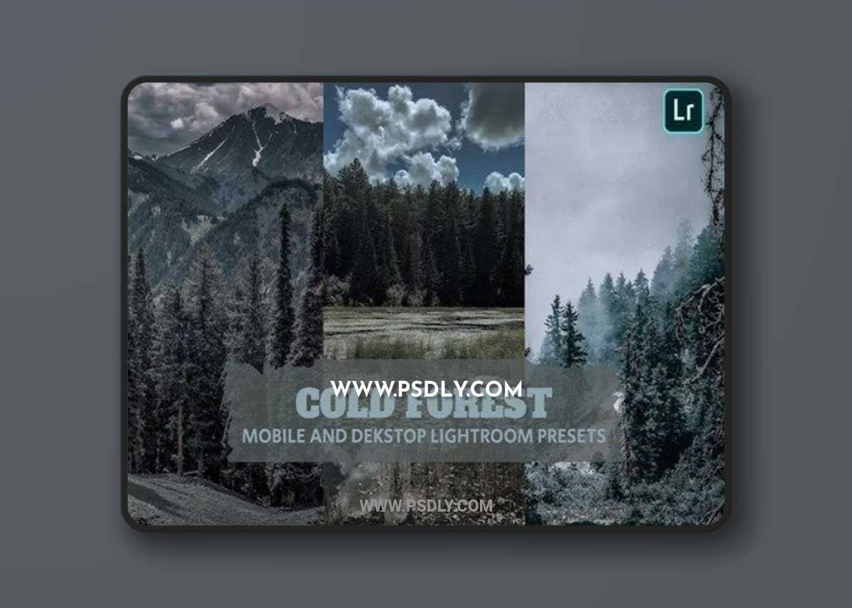 Cold Forests Lightroom Presets Dekstop and Mobile