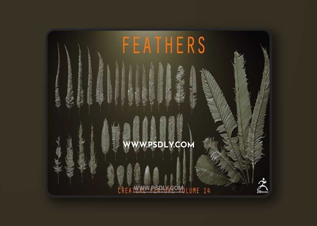 FEATHERS - 40 High poly sculpts and IMM Brush
