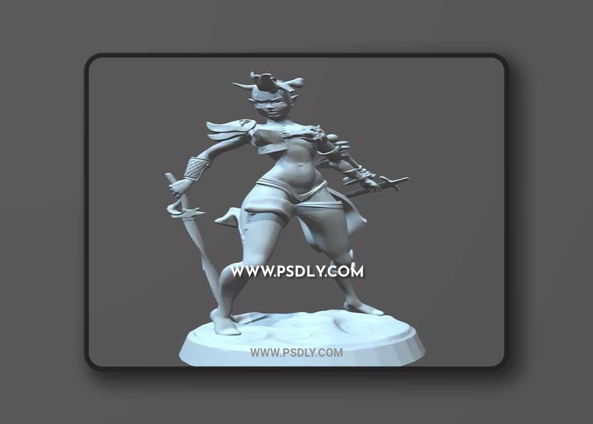 Female Wild Hunter and W40k Techpriest Explorer 3D Print