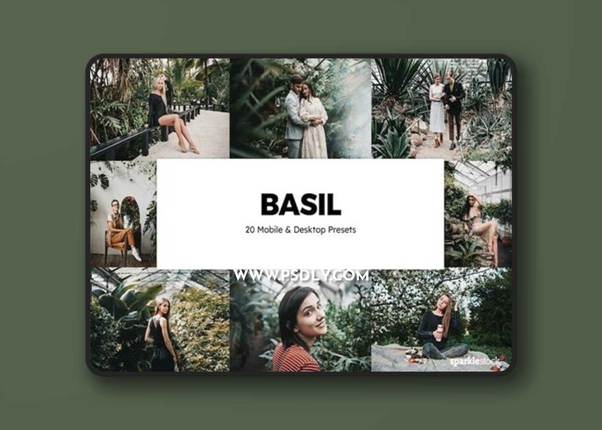 20 Basil Lightroom Presets & LUTs U3F2WNV