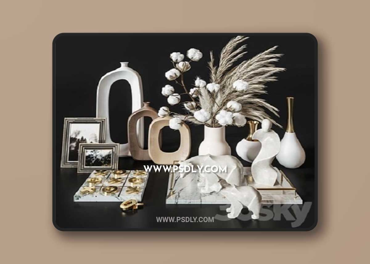 Decoration Set 34 Cotton pampas 3D Model