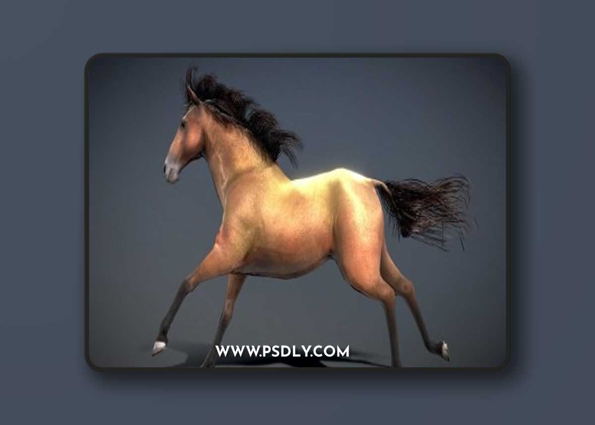 Horse - Spanish Mustang Brown 3D Model
