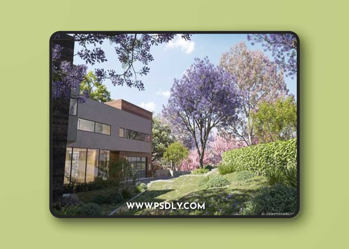 Maxtree - Plant Models Vol.107 3D Model