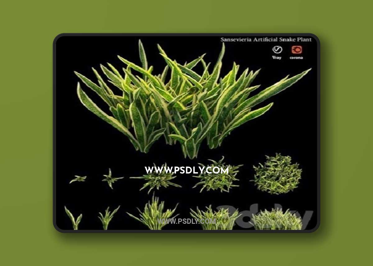 Sansevieria artificial snake plant 3D Model