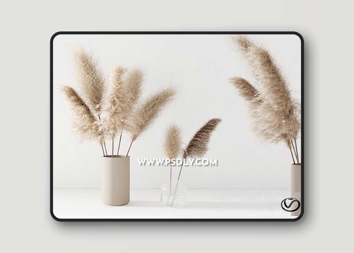 Set of pampas in vase 3D Model