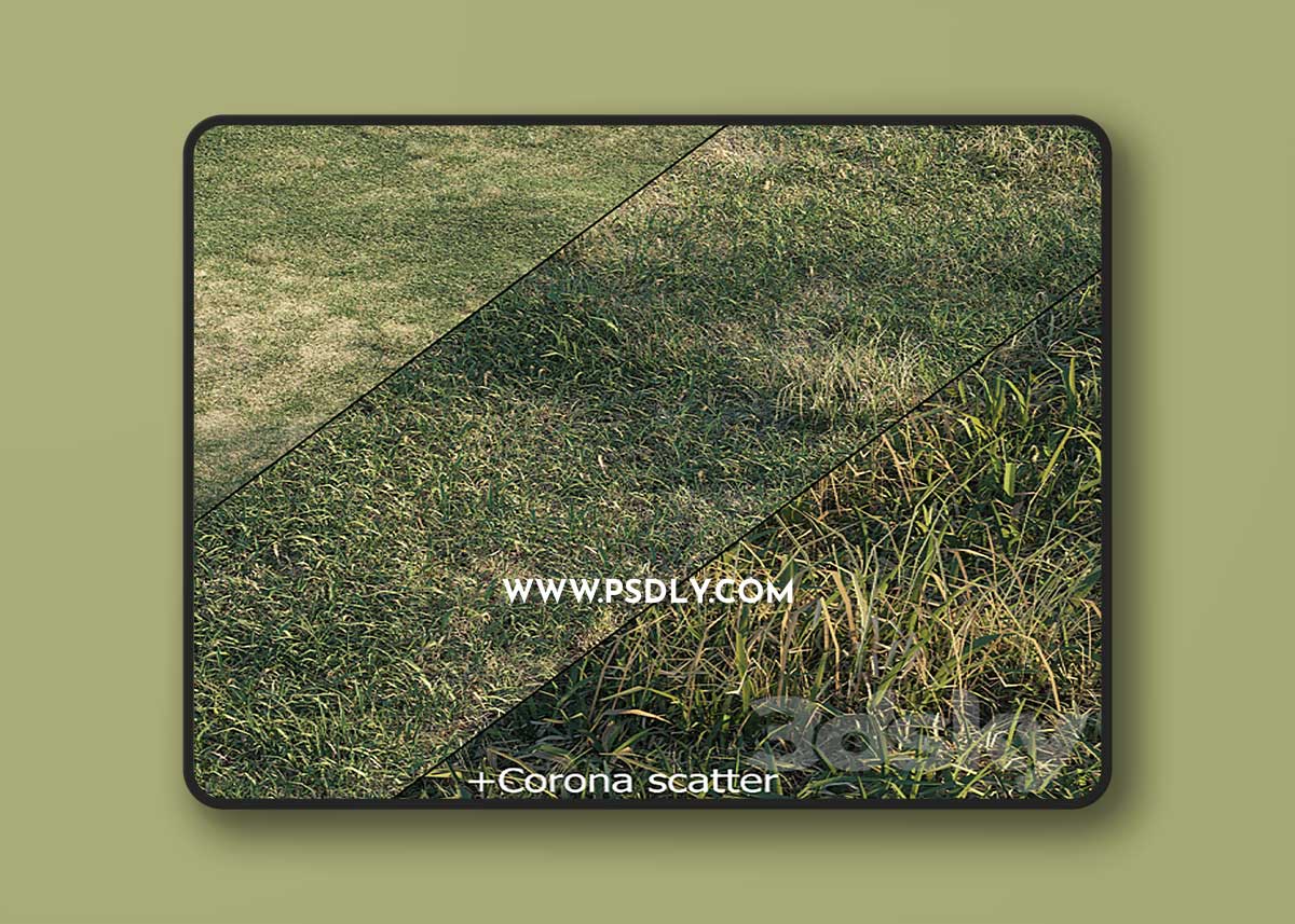Spring meadow grass 3D Model