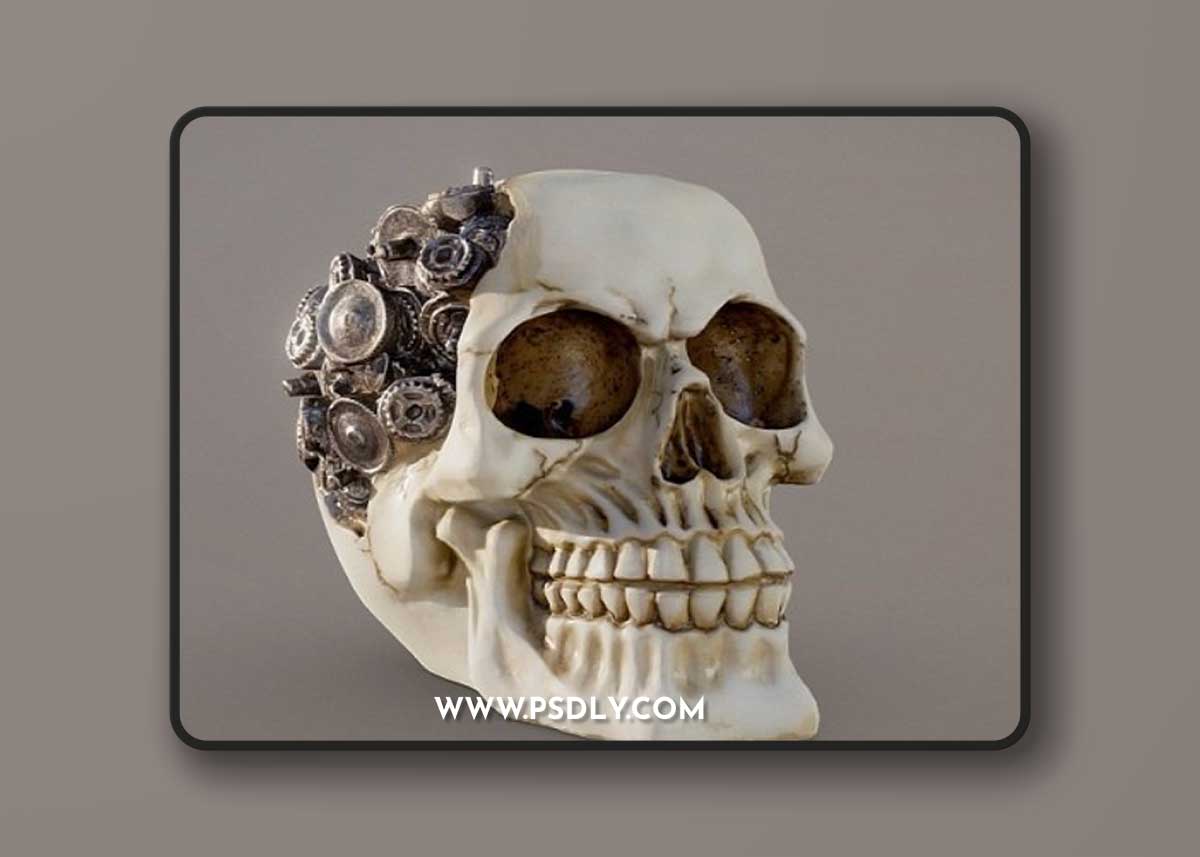 Steampunk Cyborg Skull PBR