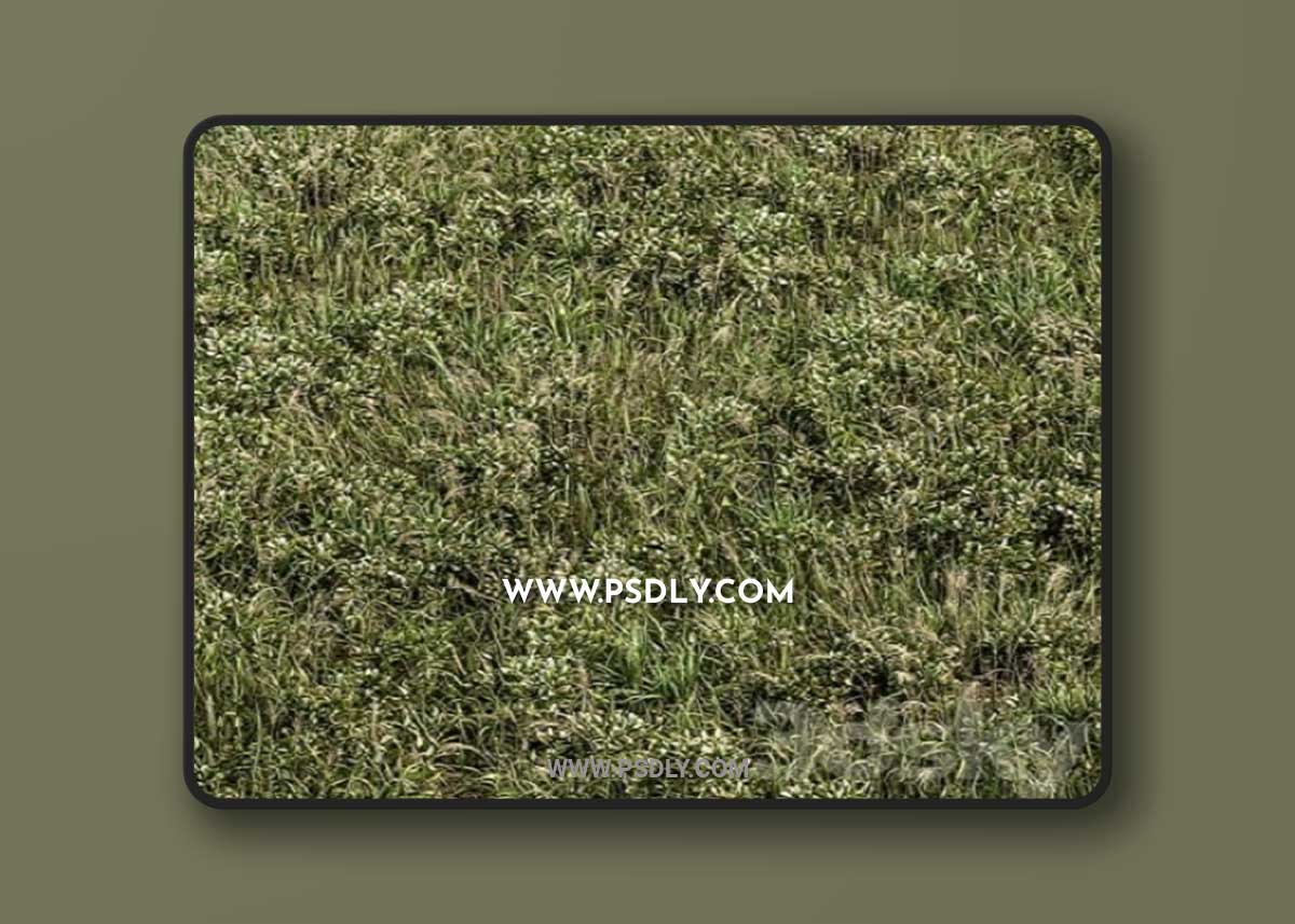 Wild Grass Green – Grass Set 01 3D Model