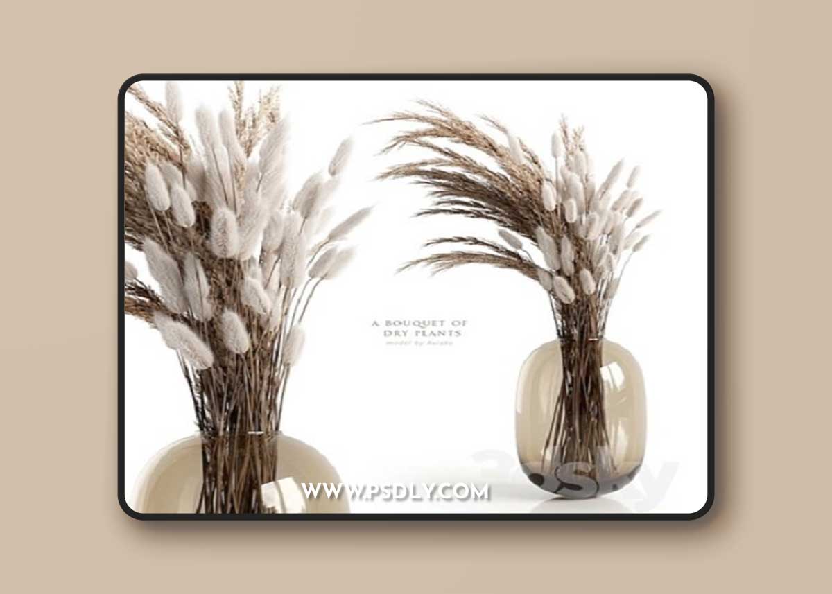 A bouquet of dry plants 3D Model