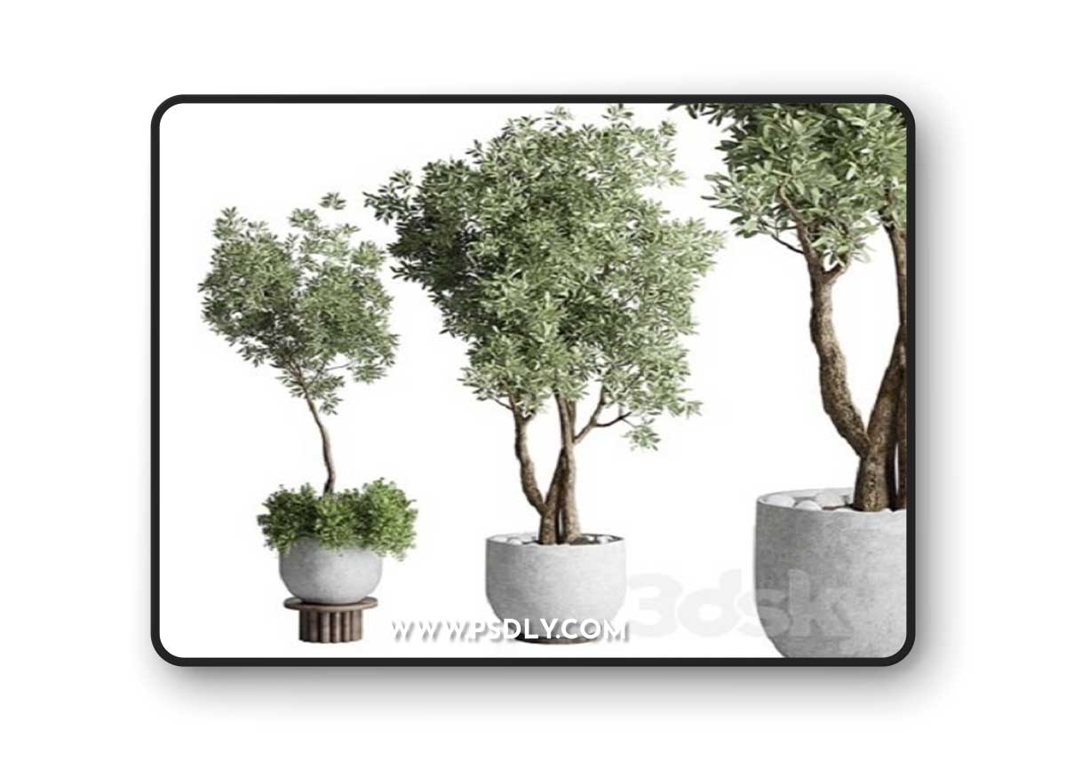 Collection Outdoor Indoor plant 52 concrete dirt vase pot tree