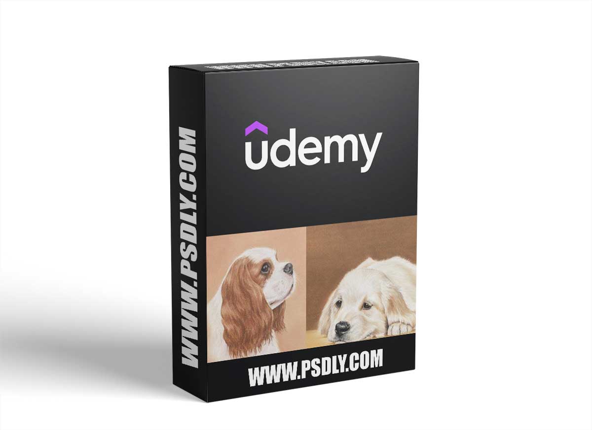 Colouring Dogs For Beginners | Just 8 Pencils!