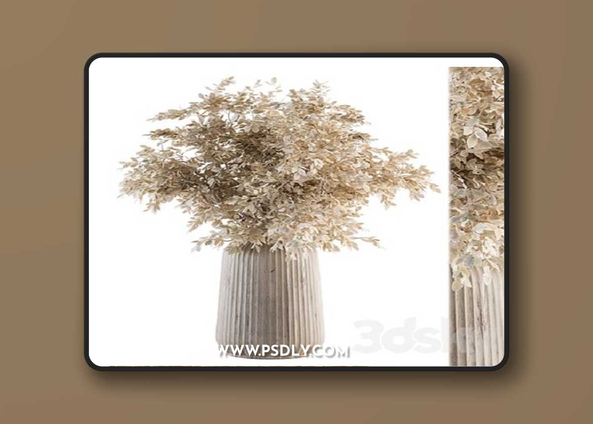Dry plants 46 – Dried Plant Bouquet 3D Model