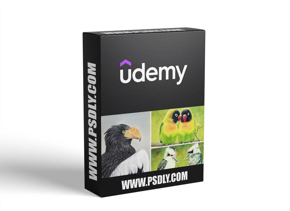 How To Draw Birds Vol 4 - Sea Eagle, Kookaburras And Parrots