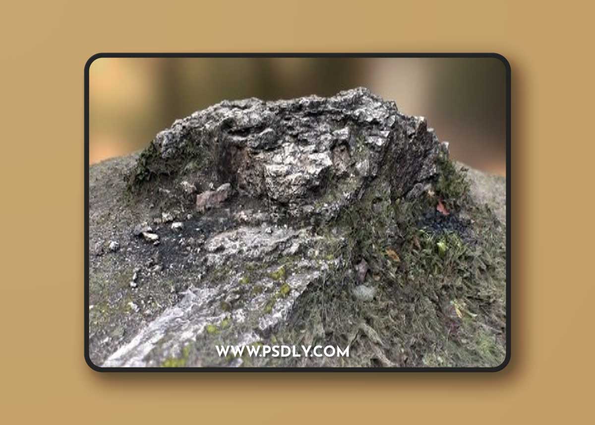 Protruding white rock 1 3D Model