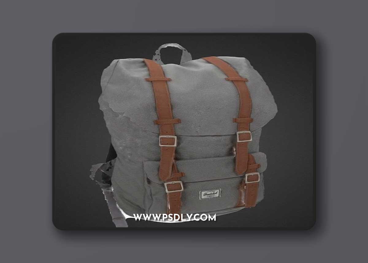 3D scan of Herschel bagpack 3D Model