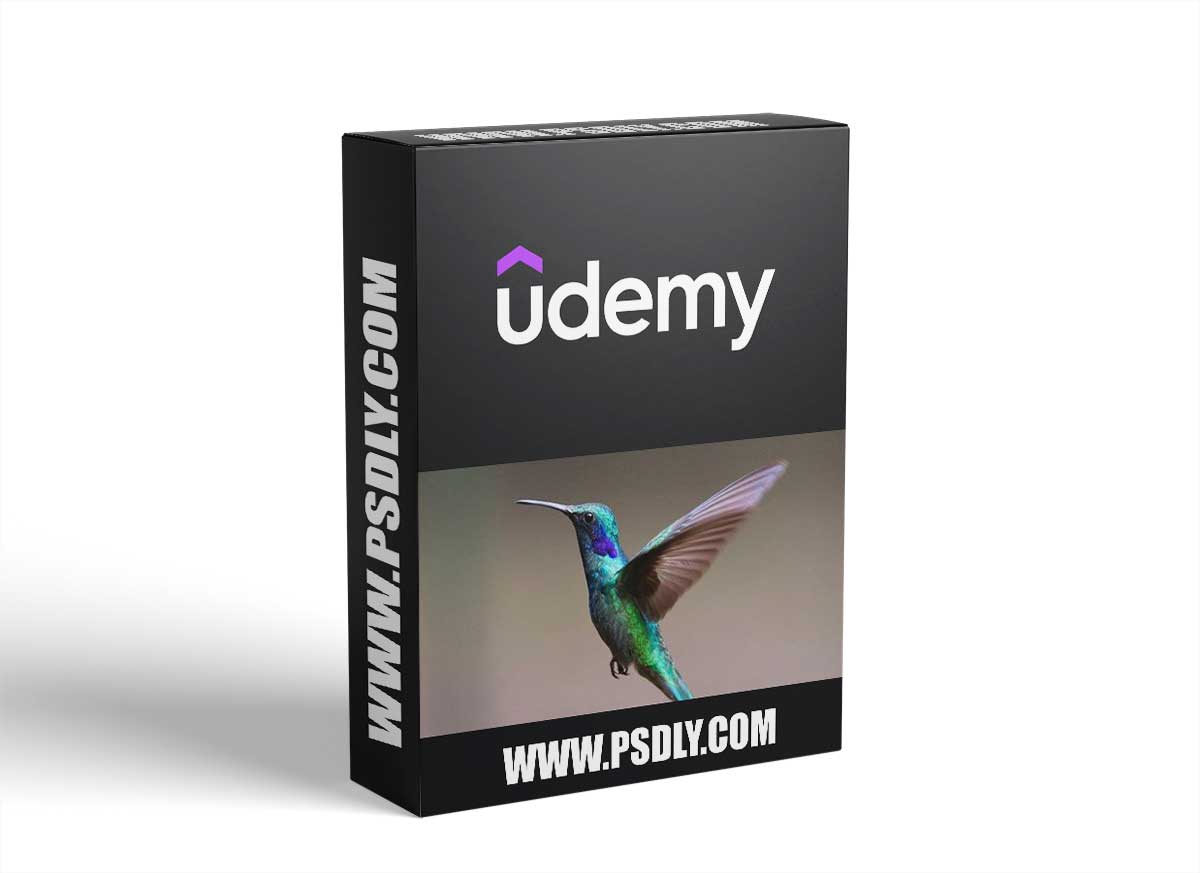A Beginners Guide to Java Programming 2023