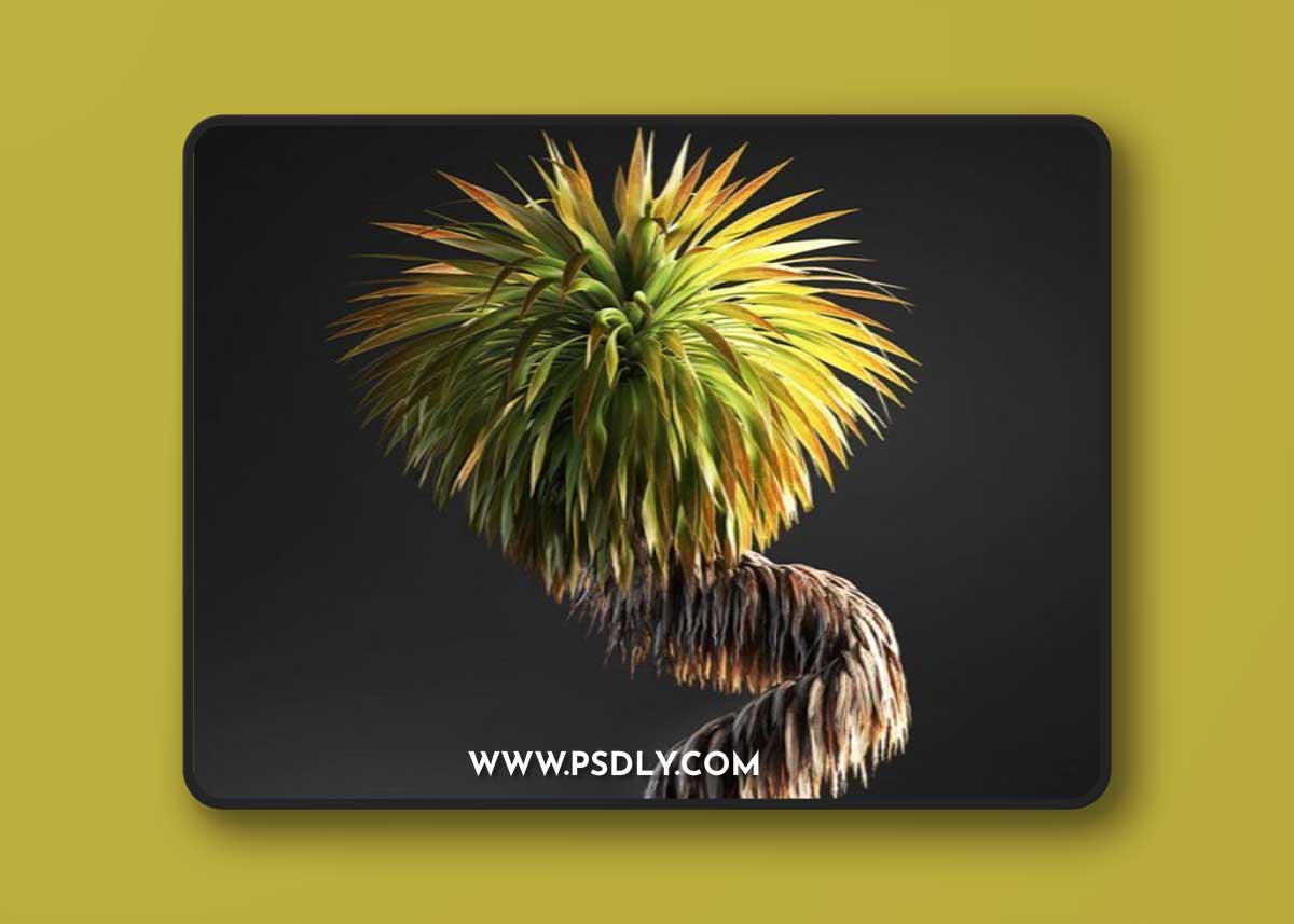 ARCHICG PLANTS – Bonsai for Interior v.1