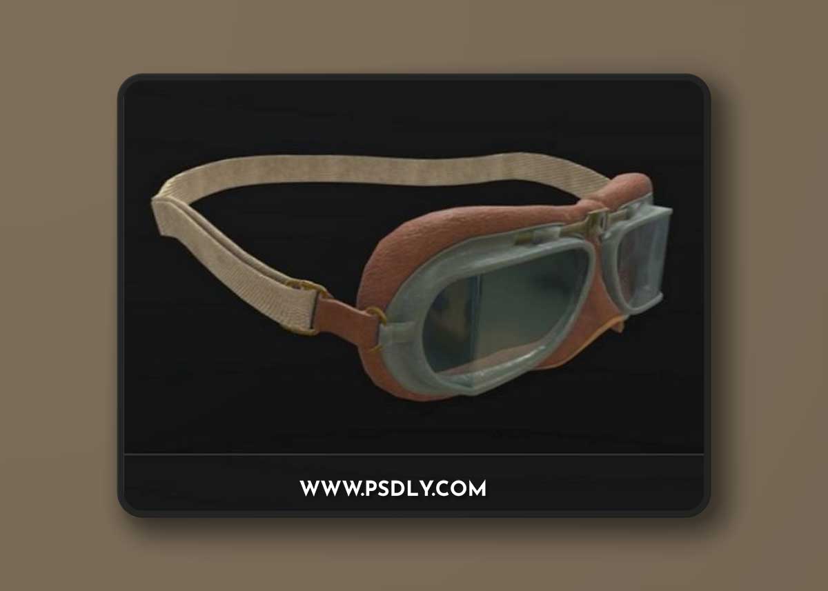 Bomber Pilot Goggles 3D Model
